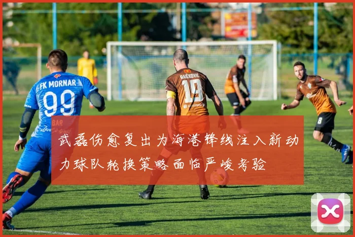 武磊伤愈复出为海港锋线注入新动力球队轮换策略面临严峻考验